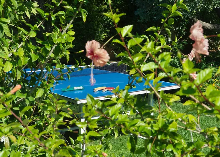 Felix & Lucia Simona